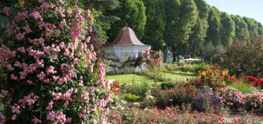 Rosengarten im Sommer