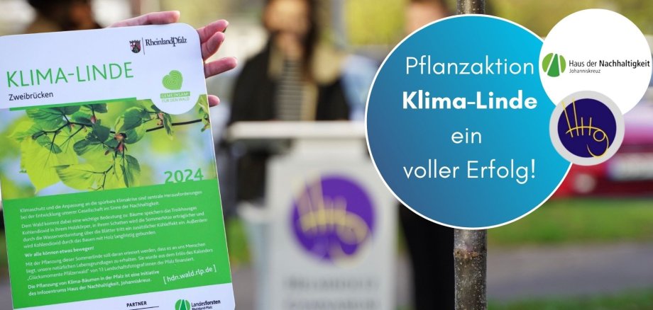 Kopie von Facebook_Infografik_2 - Klima-Linde Fazit 20.11.2024